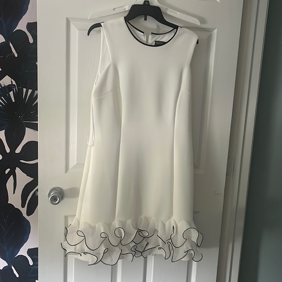 Donna Ricco Dresses & Skirts - Donna Rico Dress (16)